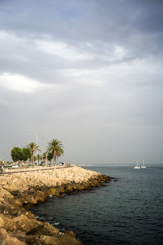 Uferstraße am Kreuzfahrthafen in Palma de Mallorca