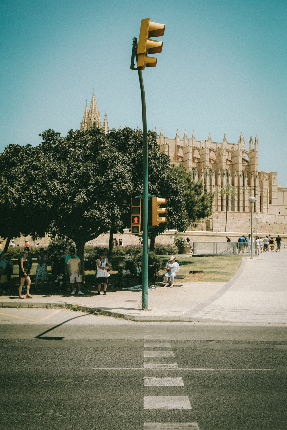 Ampel vor Kathedrale in Palma