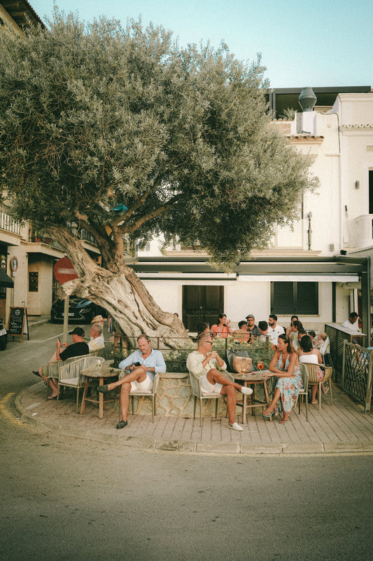 Bar am Olivenbaum in Port d’Andratx